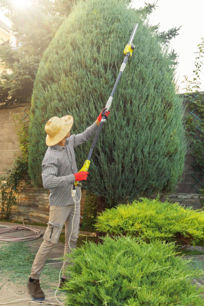 Best Commercial Tree Services  in Bellefontaine Neighbors, MO